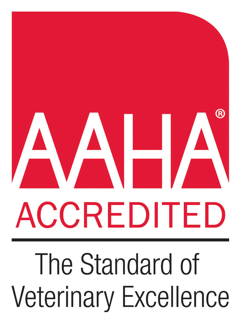 AAHA-Accredited